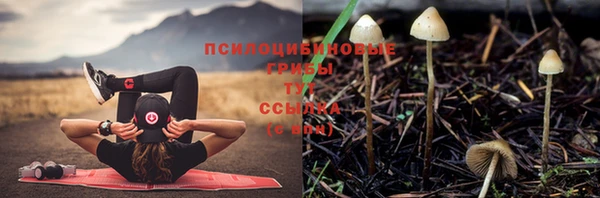 PSILOCYBIN Алексин