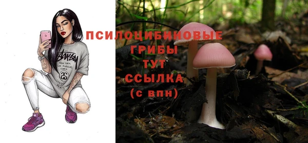 синтетический гашиш Алексеевка