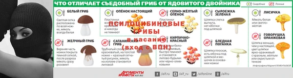 PSILOCYBIN Алексин