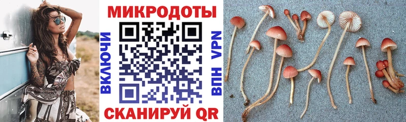 Галлюциногенные грибы мицелий  Кингисепп 